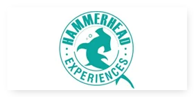 Hammer-Head-Experiences-Private-Limited