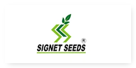 Signet-Seeds